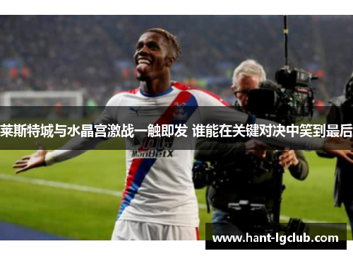 莱斯特城与水晶宫激战一触即发 谁能在关键对决中笑到最后 莱斯特城与水晶宫激战一触即发 谁能在关键对决中笑到最后