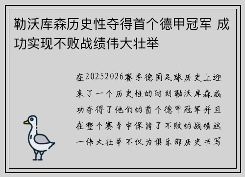 勒沃库森历史性夺得首个德甲冠军 成功实现不败战绩伟大壮举
